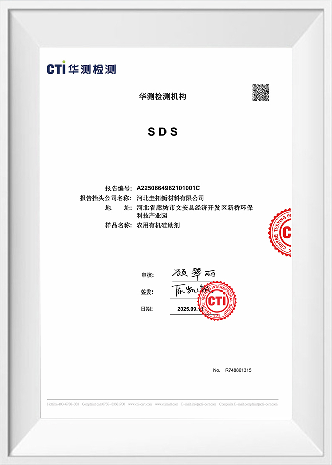 Centro Testing Gruppo Internazionale