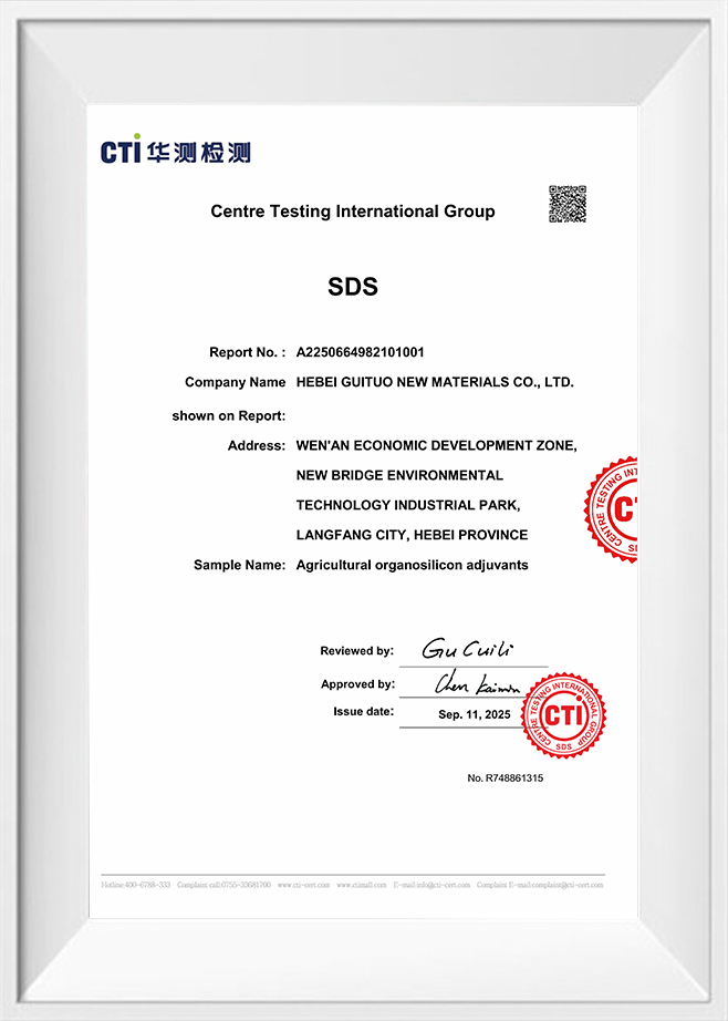 Centro Testing Gruppo Internazionale