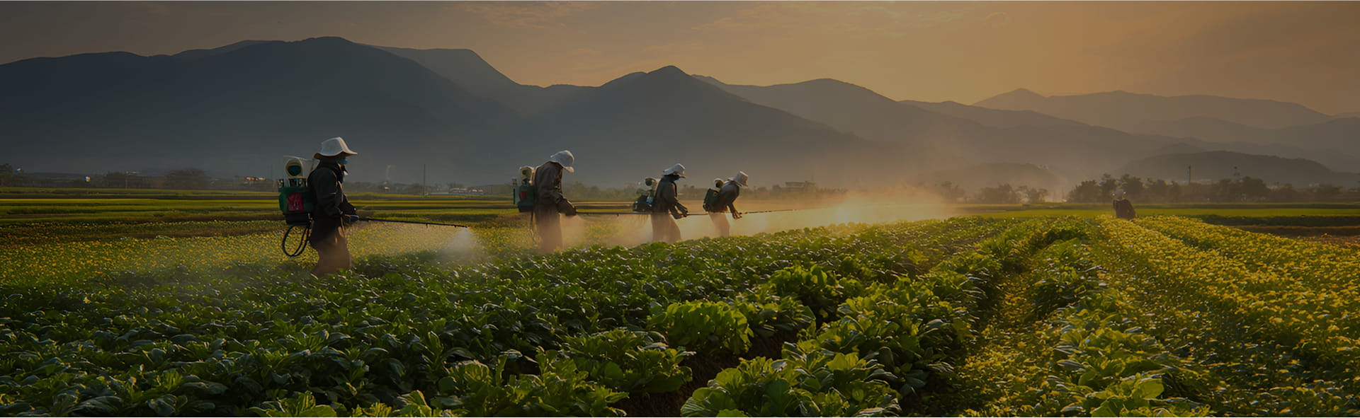 Hebei Guituo Nuovo Materiale Co., Ltd.